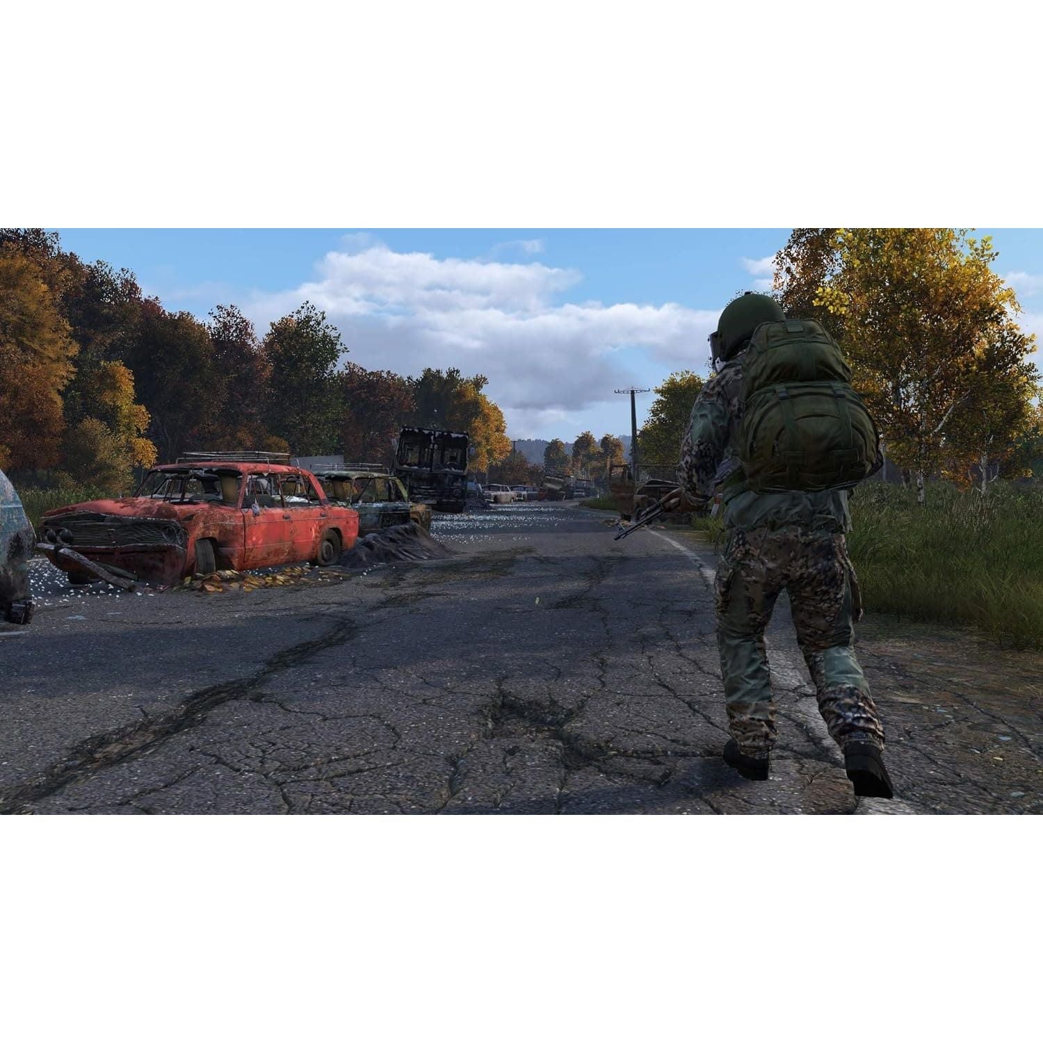 Dayz (PS4) - 4